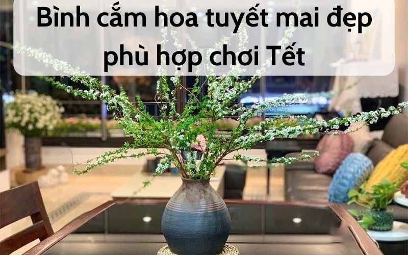 Bình cắm hoa tuyết mai đẹp phù hợp chơi Tết