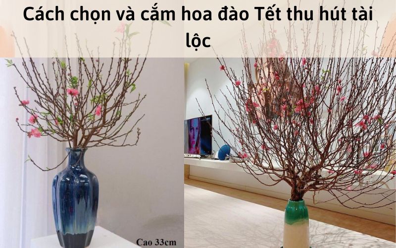 Cách chọn và cắm hoa đào Tết thu hút tài lộc